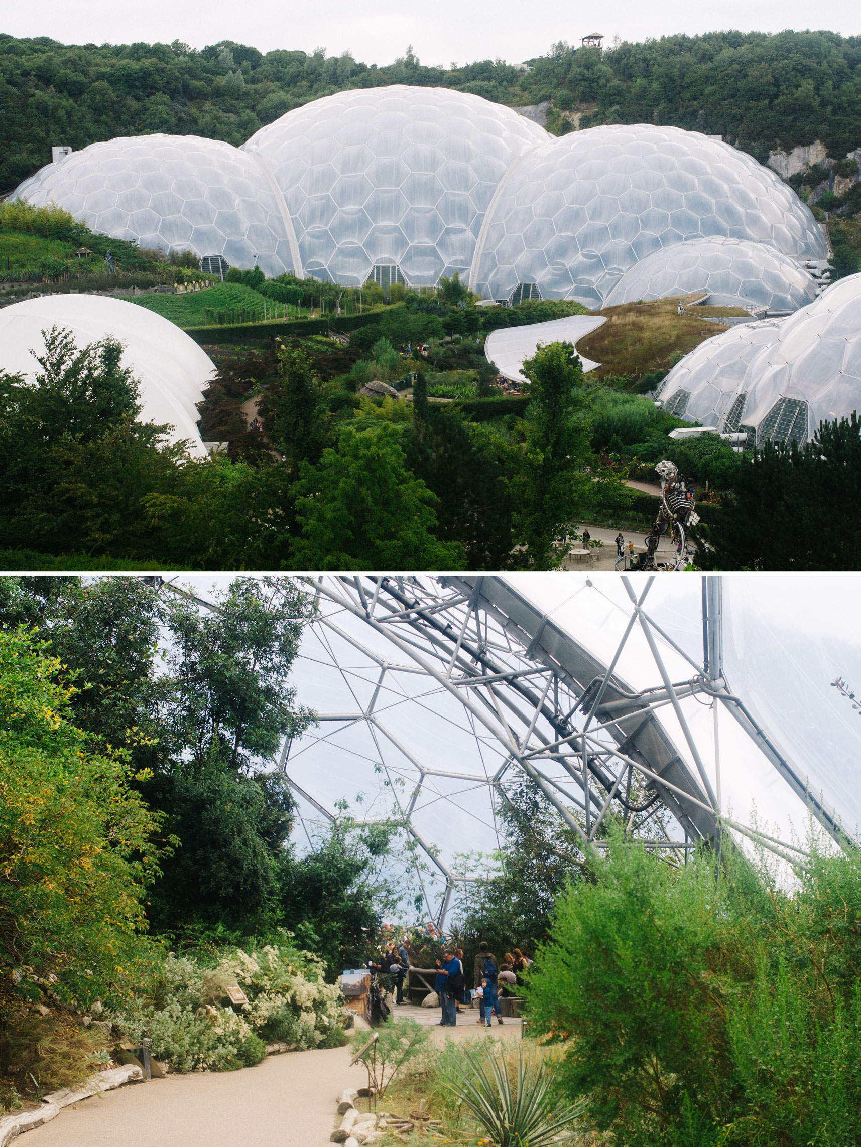 Eden project biomes